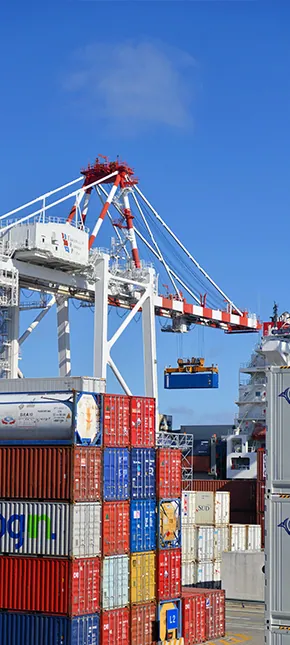 Best Sea Freight Forwarder Best Sea Freight Forwarder